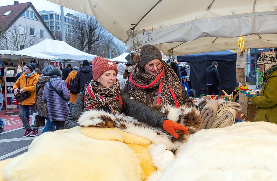 Pferdemarkt Heilbronn 2023