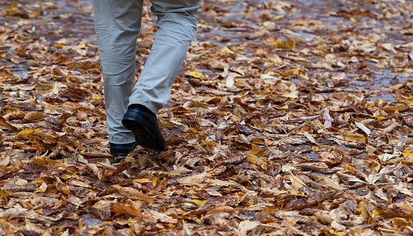 Zu nass und zu trüb war der Oktober im Südwesten, so die Bilanz des Deutschen Wetterdienstes. (Archivbild) Zu nass und zu trüb war der Oktober im Südwesten, so die Bilanz des Deutschen Wetterdienstes. (Archivbild)