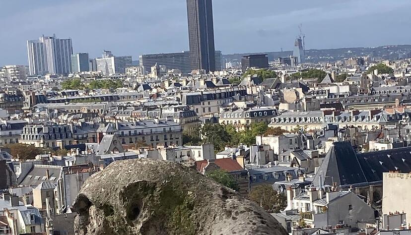 Chimären, die steinernen Mischwesen wachen über Notre-Dame.