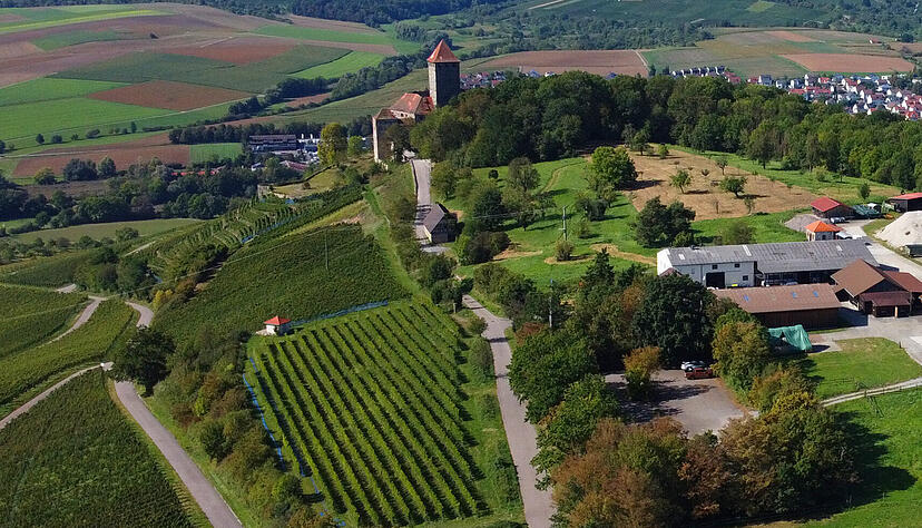 Die Burg Lichtenberg ist das Wahrzeichen der Gemeinde Oberstenfeld, die nun ein neues Ortsoberhaupt braucht.