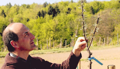 Bis die Bäumlein Schatten spenden, wird es noch dauern: Landwirt Thomas Faber inspiziert die neue Kleingartacher Streuobstwiese.Foto: Alexander Hettich Bis die Bäumlein Schatten spenden, wird es noch dauern: Landwirt Thomas Faber inspiziert die neue Kleingartacher Streuobstwiese.Foto: Alexander Hettich