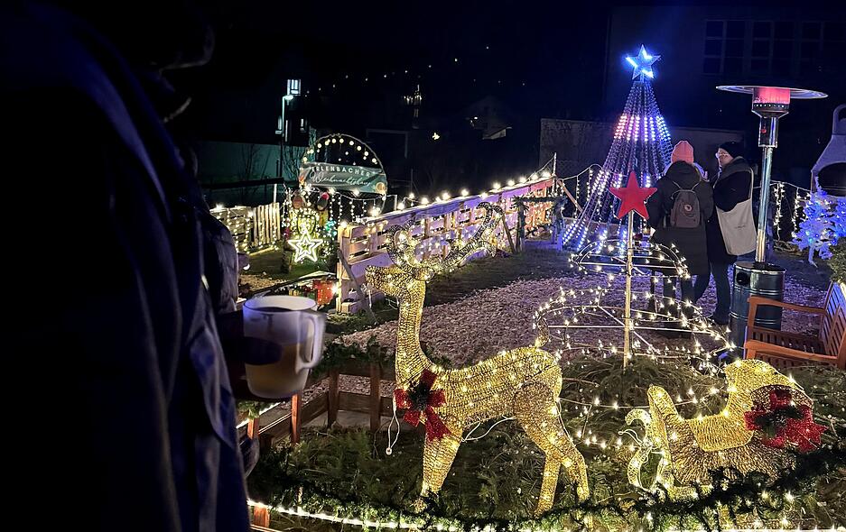 Rund 60.000 Lichter sind auf dem Gelände verbaut. Die Planung für das Weihnachtshaus in Erlenbach brauche viel Zeit. Aber Aufwand lohne sich: Die Einnahmen und Spenden der Besucher fließen jedes Jahr an wohltätige Projekte für Kinder.