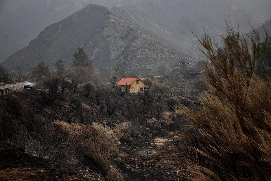 Vom Feuer verbranntes Gebiet in der Umgebung der Picos de Europa. Der Brand von Barniedo de la Reina hat die Evakuierung der Gemeinden Espejo de la Reina, Villafrea de la Reina, Santa Marina de Valde&oacute;n, Cardi&ntilde;ales, Prada de Valde&oacute;n, Los Llanos, Soto de Valde&oacute;n, Caldevilla de Valde&oacute;n und Posada de Valde&oacute;n erforderlich gemacht.