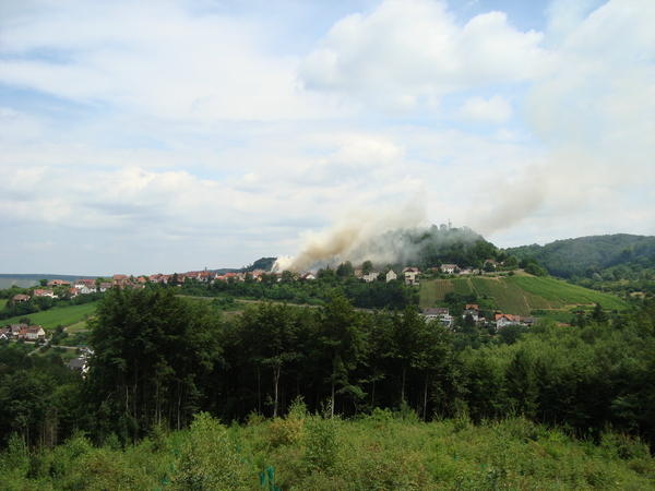 Blick auf die Brandstelle in L&ouml;wenstein vom gegen&uuml;ber liegenden Sandberg aus.