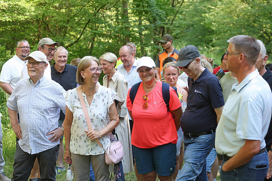 &Uuml;ber 80 Prozent des Stadtwalds bestehen aus Laubb&auml;umen &ndash; darunter viele Eichen und Buchen.