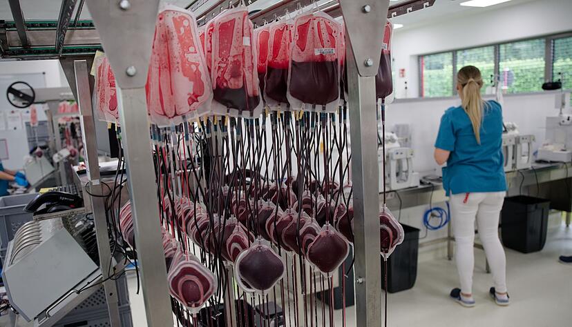 Die wei&szlig;en Blutk&ouml;rperchen (Leukozyten) werden im Zentrallabor des DRK-Blutspendedienstes aus den Blutkonserven herausgefiltert.