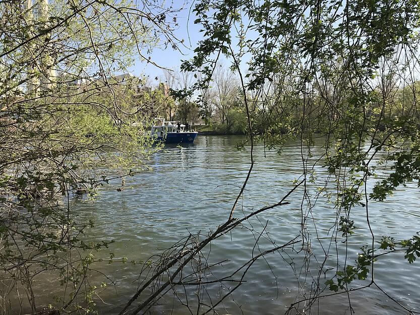 Suchaktion am Neckar