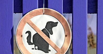 Verbotsschilder helfen nicht immer: Kommunen aus der Region haben mancherorts mit nicht beseitigtem Hundekot zu k&auml;mpfen.
Foto: dpa