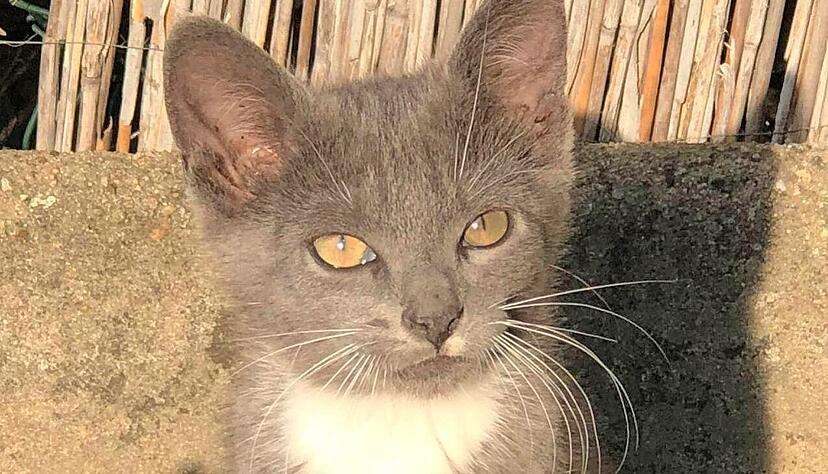 Davon, wie sehr die Eppinger Familie ihren Emil liebte, zeugen viele Bilder, die ihn zu Lebzeiten zeigen. Fotos: privat