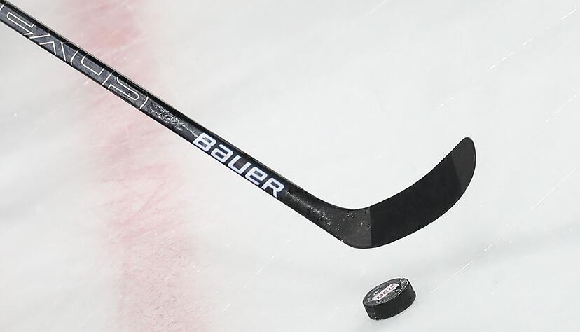 Die Adler Mannheim verpflichten einen neuen Spieler. (Symbolbild)