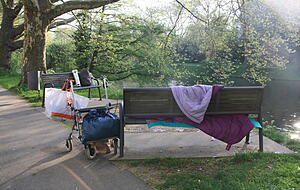 Nilg&auml;nse haben die Obdachlosen aufgeweckt, die am Neckarufer gen&auml;chtigt haben.
