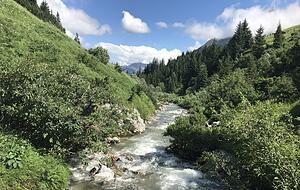 Vor allem verläuft die Etappe oberhalb des Lechs, doch hinter Warth führt eine Brücke über den Fluss, danach steht man in den schönsten Blumenwiesen. Foto: Stefanie Sapara Vor allem verläuft die Etappe oberhalb des Lechs, doch hinter Warth führt eine Brücke über den Fluss, danach steht man in den schönsten Blumenwiesen. Foto: Stefanie Sapara