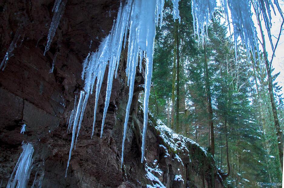 H&ouml;rschbachschlucht bei Murrhardt