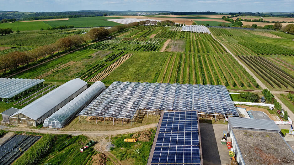Einweihung der Agrar-PV-Anlage im Obstversuchsgut Heuchlingen in Bad Friedrichshall. Pilotprojekt des Landes Baden-Württemberg. Beerenobstanlage unter APV-Überdachung.
