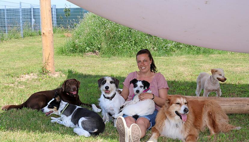 Daniela Langer inmitten einiger ihrer Mittwochsschützlinge. Zwei Jahre hat sie an der Idee einer Hundetagesstätte gearbeitet, nun floriert das Geschäft.
Foto: Ute Plückthun Daniela Langer inmitten einiger ihrer Mittwochsschützlinge. Zwei Jahre hat sie an der Idee einer Hundetagesstätte gearbeitet, nun floriert das Geschäft.
Foto: Ute Plückthun