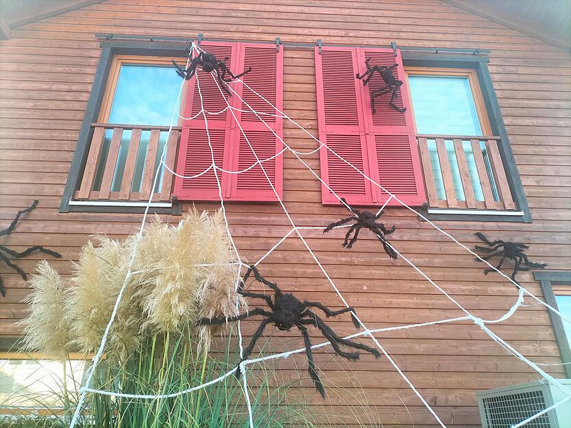 Auch Spinnen dürfen bei der Halloween-Dekoration nicht fehlen.