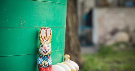 Gef&auml;rbte Eier und verpackte Schokolade: Zu den Osterfeiertagen f&auml;llt besonderer M&uuml;ll an.