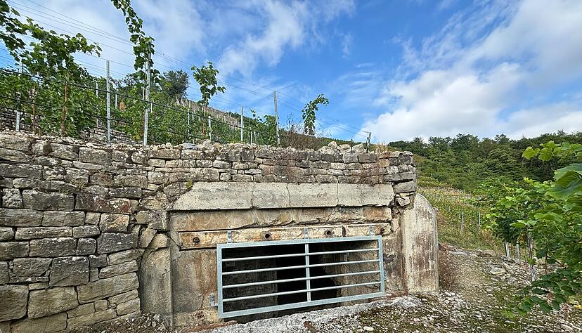 T14-Bunker in Lauffen. Das Privatgelände ist nicht für die Öffentlichkeit zugänglich. T14-Bunker in Lauffen. Das Privatgelände ist nicht für die Öffentlichkeit zugänglich.