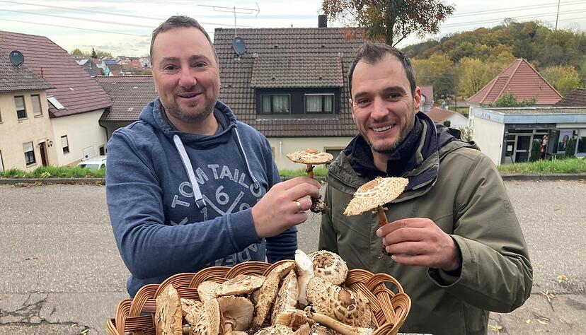 Christian Schuster (links) wollte lecker Riesenschirmlinge essen. Das wäre aberin diesem Fall keine gute Idee gewesen, sagt Pilzsachverständiger Thomas Zupan.
Foto: Adrian Hoffmann