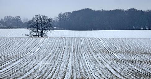 Schnee bis in die Niederungen ist am Samstag für die Mitte und den Süden vorhergesagt. Schnee bis in die Niederungen ist am Samstag für die Mitte und den Süden vorhergesagt.