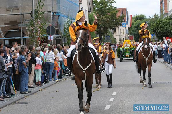 Käsritt, Leingarten | 08.09. Käsritt, Leingarten | 08.09.