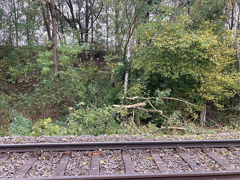 Stadtbahn prallt bei Leingarten gegen Baum