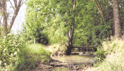 Das alte Bett des Wasserlaufs liegt bei normalem Wasserstand trocken. Das alte Bett des Wasserlaufs liegt bei normalem Wasserstand trocken.