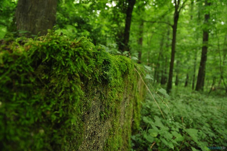 Nazi-Ruine im Wald bei Eppingen