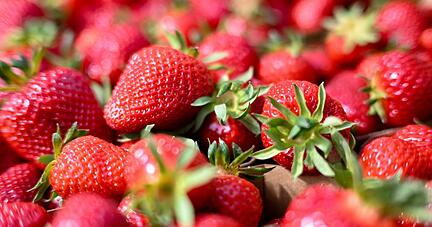 Erdbeeren liegen bereit. Erdbeeren liegen bereit.