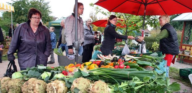 Herbstmarkt im Obstgarten. Herbstmarkt im Obstgarten.