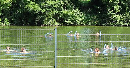 Die erwachsenen Badeg&auml;ste tummeln sich vorwiegend au&szlig;erhalb des Zauns im Kocher, nicht im Naturschwimmbecken.