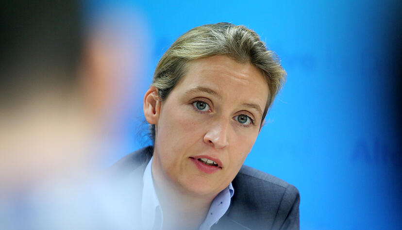 Im Sommer 2015 wird Alice Weidel in den Bundesvorstand der AfD gewählt. Im Sommer 2015 wird Alice Weidel in den Bundesvorstand der AfD gewählt.