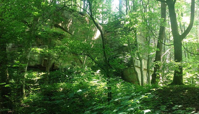 Zwischen Bäumen und an Felsen vorbei führt der Weg durch den alten Schilfsandsteinbruch oberhalb des Heilbronner Jägerhauses.  in dem Naturdenkmal im Heilbronner Stadtwald sind die Temperaturen merklich kühler.