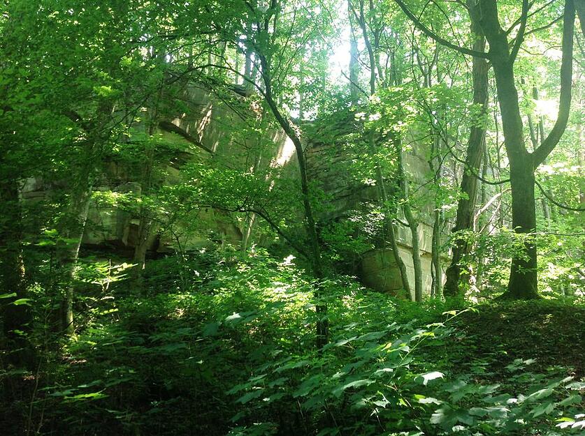 Zwischen Bäumen und an Felsen vorbei führt der Weg durch den alten Schilfsandsteinbruch oberhalb des Heilbronner Jägerhauses.  in dem Naturdenkmal im Heilbronner Stadtwald sind die Temperaturen merklich kühler.