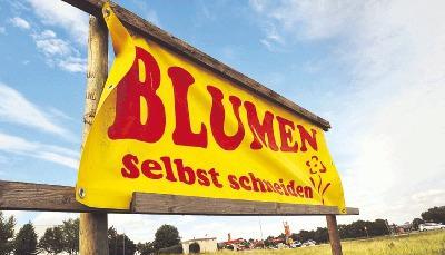 Neben dem Blumenfeld beim Fürfelder Autohof will Burger King eine Filiale eröffnen. Nur wenige Schritte weiter befindet sich ein McDonald&quot;s-Restaurant.Foto: Maurhoff