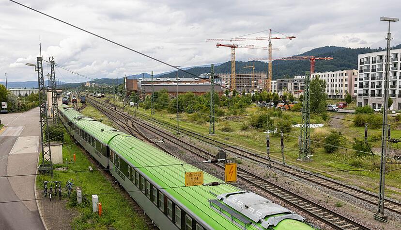 Das von den Beh&ouml;rden ausgewiesene Befallsgebiet erstreckt sich rund um den Freiburger G&uuml;terbahnhof.