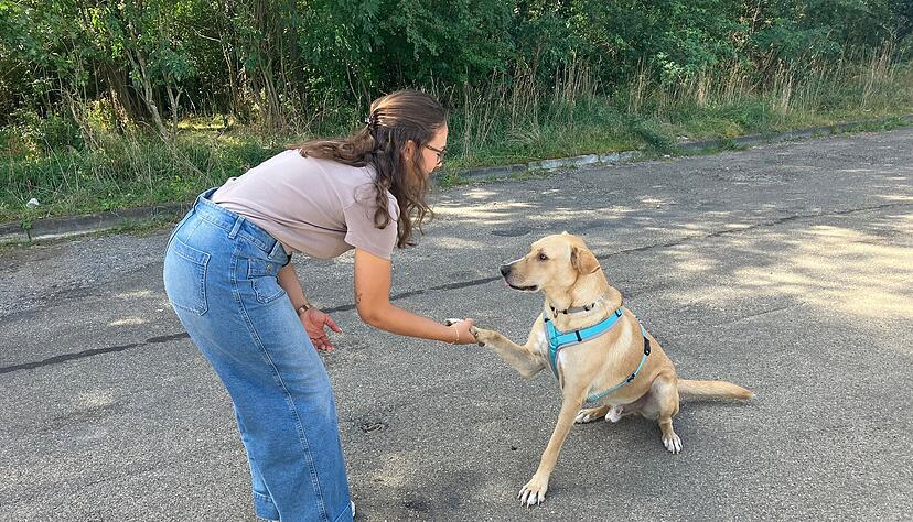 Viktoria Pfeil hat Ivan auch Tricks beigebracht, zum Beispiel kann er die Pfote geben.