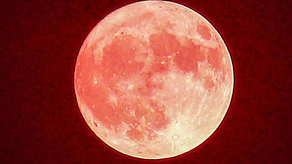 Der Erdbeermond &ndash; leuchtend rot und beeindruckend nah &ndash; erstrahlt am Himmel.