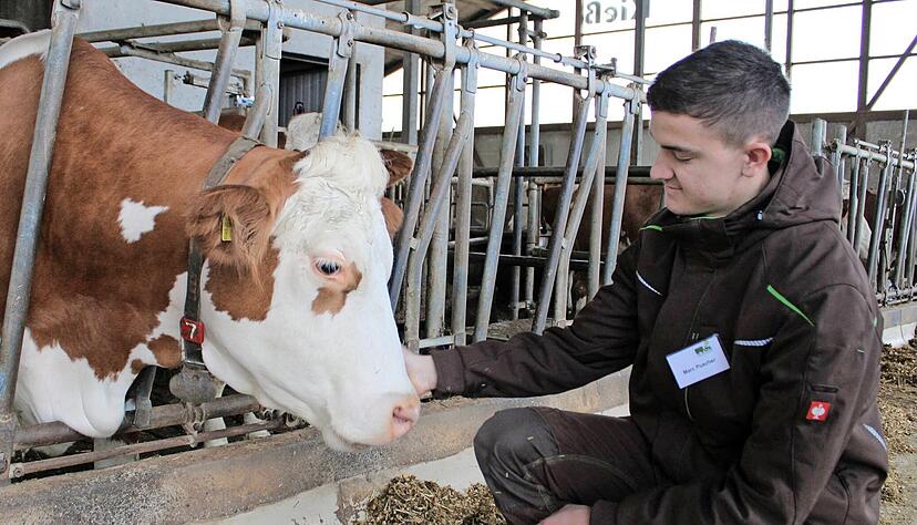 Marc Puscher arbeitet bei Familie Kieß. Gemeinsam mit den Lehramtsstudenten und angehenden Landwirtschaftsmeistern führt er über den Hof. Marc Puscher arbeitet bei Familie Kieß. Gemeinsam mit den Lehramtsstudenten und angehenden Landwirtschaftsmeistern führt er über den Hof.