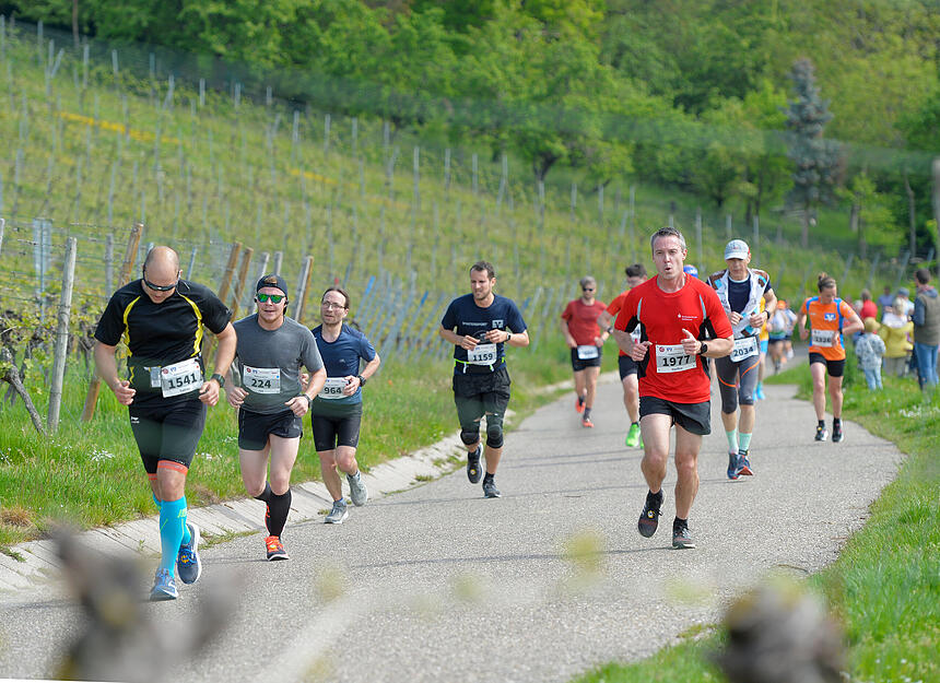 20. Trollinger Marathon - ab durch die Weinberge