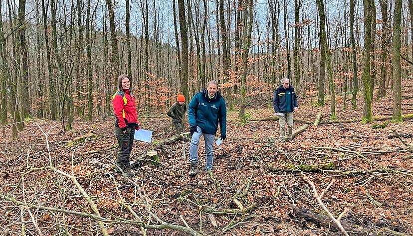 Forstamt vor Ort: Amtsleiter Armin Jacob (von rechts), Revierleiter J&uuml;rgen Stahl mit Trainee Tobias Fassl und Julia Stahl (&Ouml;ffentlichkeitsarbeit).
Fotos: J&ouml;rg K&uuml;hl