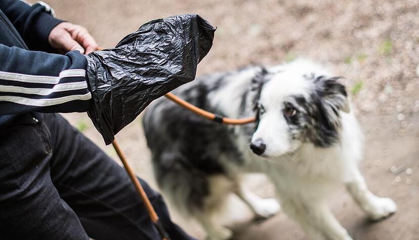 Nicht wegger&auml;umter Hundekot ist &auml;rgerlich. Symbolbild: Maja Hitij, dpa