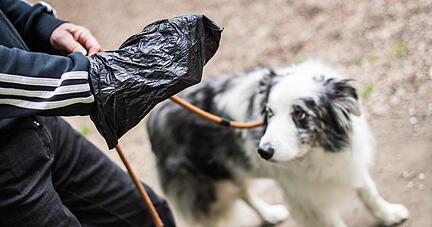 Nicht wegger&auml;umter Hundekot in der Stadt ist &auml;rgerlich. Auch Heilbronn setzt mittlerweile, wie viele andere St&auml;dte auf Patenschaften f&uuml;r T&uuml;tenbeh&auml;lter. Foto: Maja Hitij, dpa