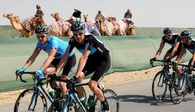 Profis vom Sky-Team passieren bei der Katar-Rundfahrt eine Gruppe von Kamelen. Profis vom Sky-Team passieren bei der Katar-Rundfahrt eine Gruppe von Kamelen.