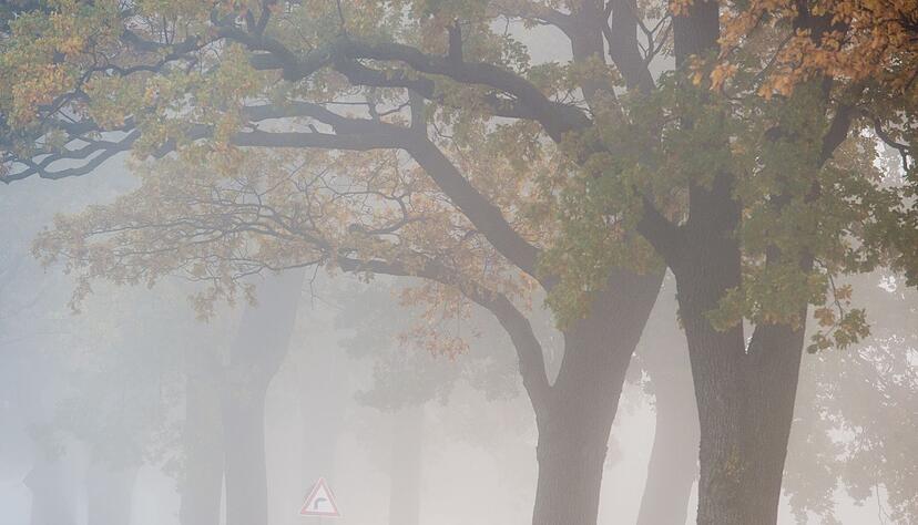 Bei plötzlich auftauchendem Nebel sollten Fahrer Tempo rausnehmen und den Abstand zum Vordermann vergrößern. Bei plötzlich auftauchendem Nebel sollten Fahrer Tempo rausnehmen und den Abstand zum Vordermann vergrößern.