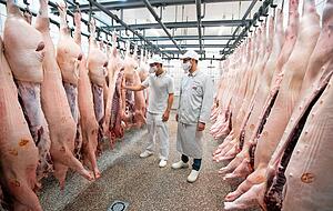 Bevor die Rinder dran sind, wurden die Schweine geschlachtet. Peter und Armin Häfele (von links) kontrollieren im Kühlraum jedes einzelne Tier. Bevor die Rinder dran sind, wurden die Schweine geschlachtet. Peter und Armin Häfele (von links) kontrollieren im Kühlraum jedes einzelne Tier.