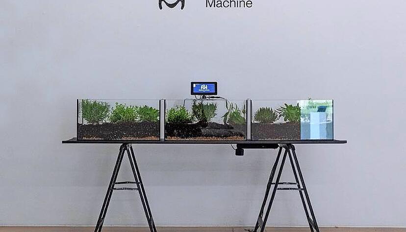 Kann die Abw&auml;rme von K&uuml;nstlicher Intelligenz f&uuml;r Pflanzen genutzt werden? "Symbiotic Machine" erkundet M&ouml;glichkeiten.