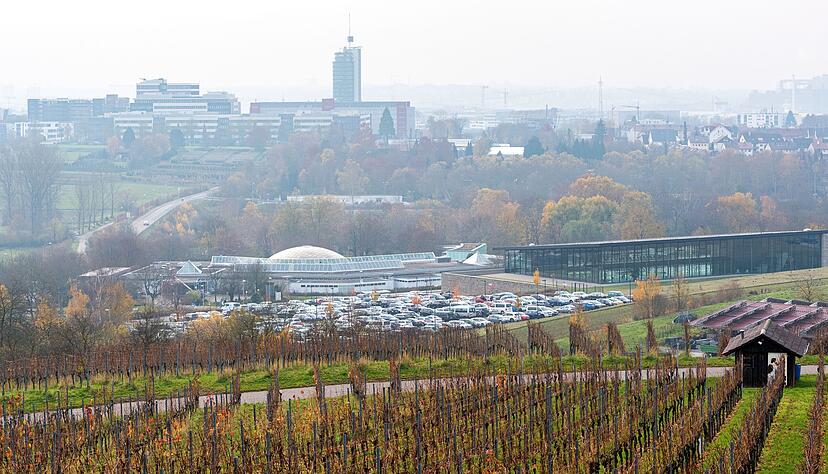 Am Fu&szlig;e von Neckarsulms Weinbergen liegt das Aquatoll. Foto: HSt