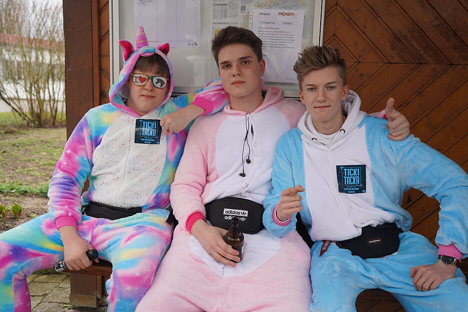 Faschingsumzug Stockheim