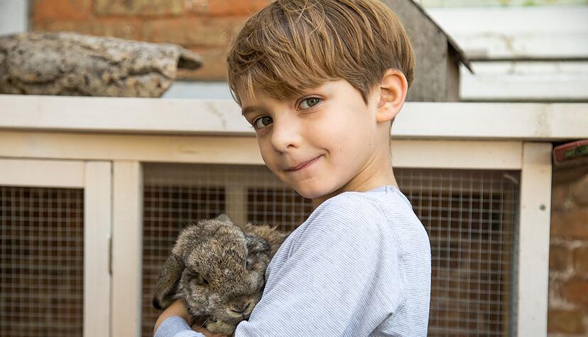 Haustiere sind keine Kuscheltiere und sollten Kindern nur unter Aufsicht nahekommen.